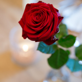 Restaurant Babenwohl, Detail, Stadthotel Schwärzler