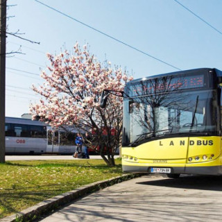 kostenlose gästekarte kostenlos zug bus bahn